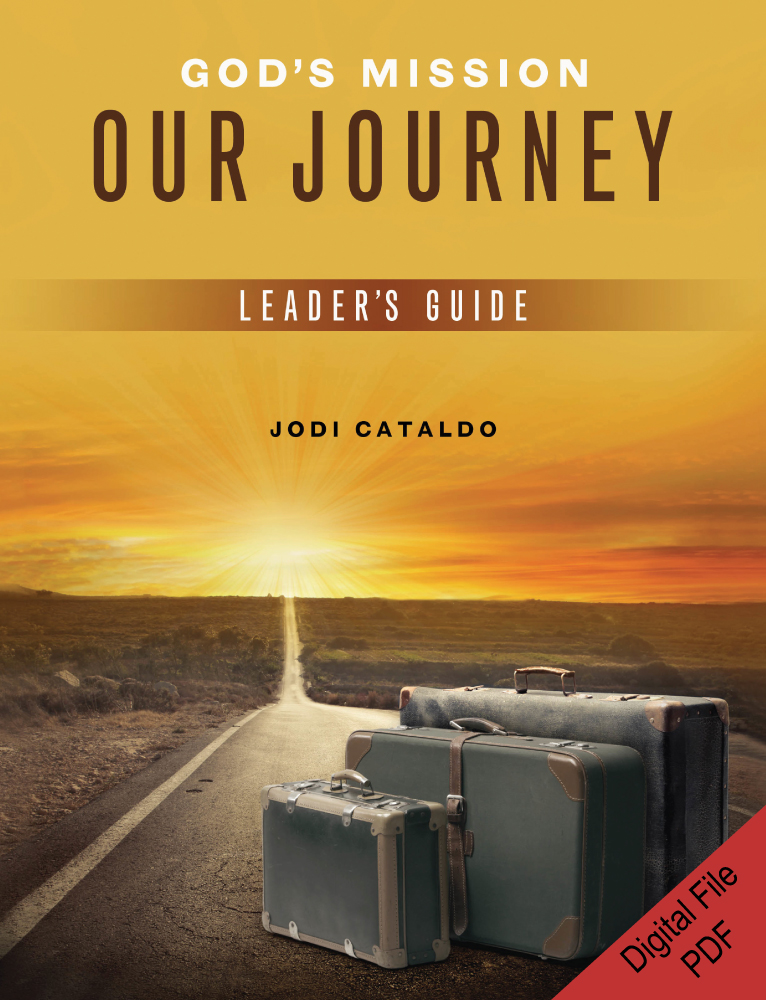 God's Mission, Our Journey