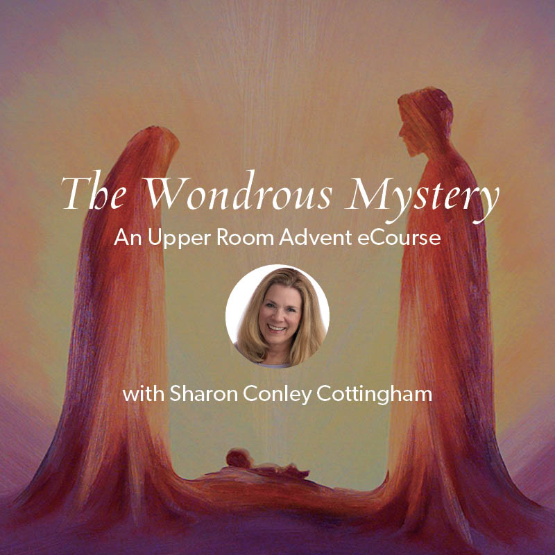 Ecourse The Wondrous Mystery