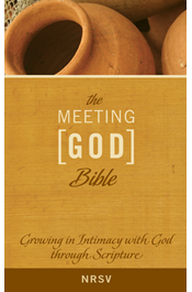 The Meeting God Bible